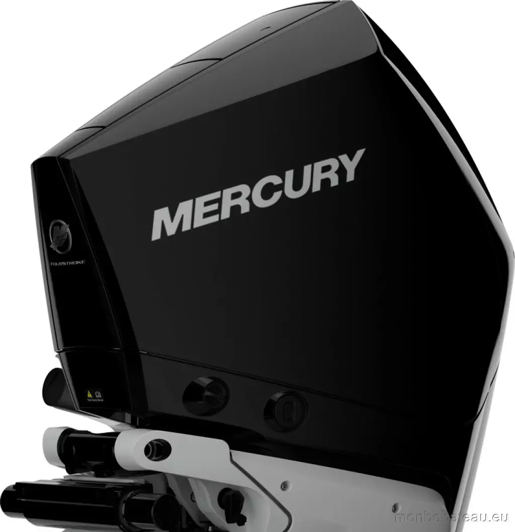 MERCURY V8 4.6