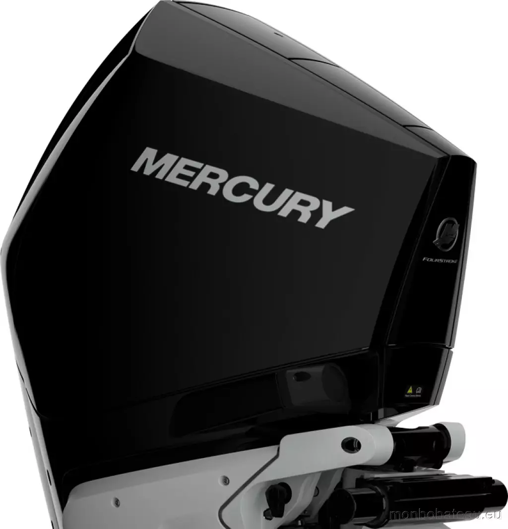 MERCURY v8 4.6