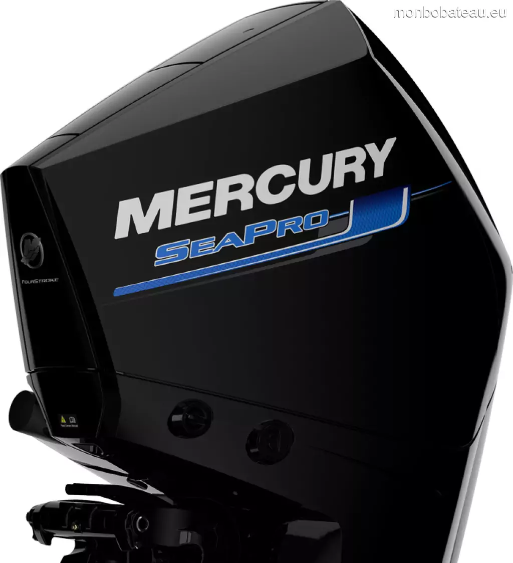 MERCURY 225 CV V8 4.6 D