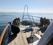 thumbs