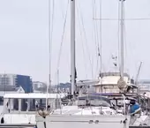thumbs